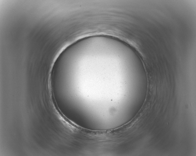 X0000061121516200512022138