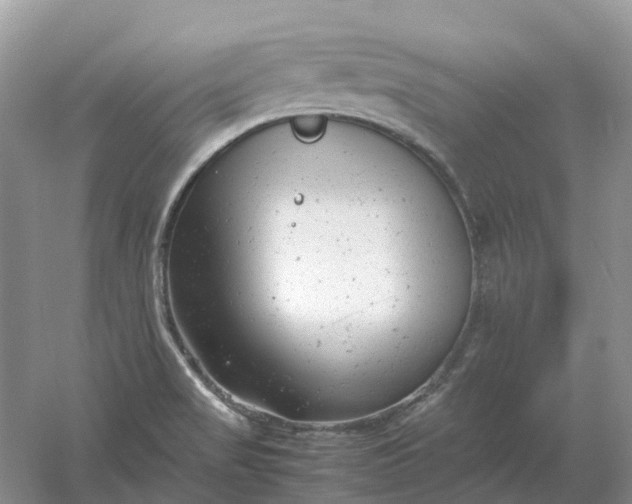 X0000061121517200512022138