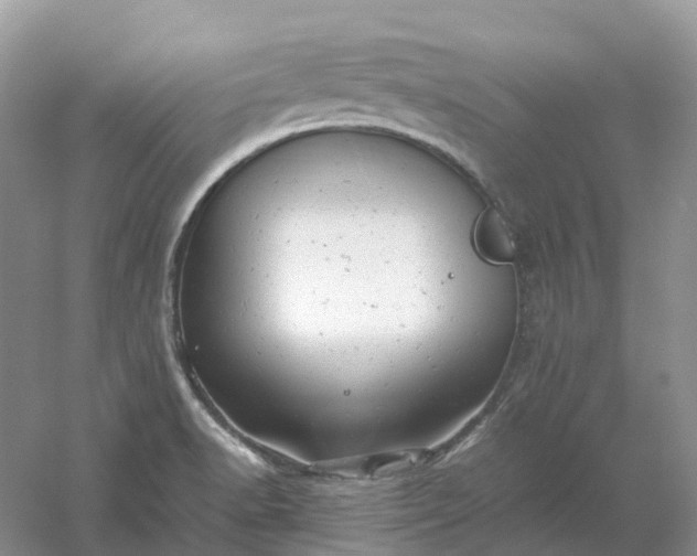 X0000061121518200512022138