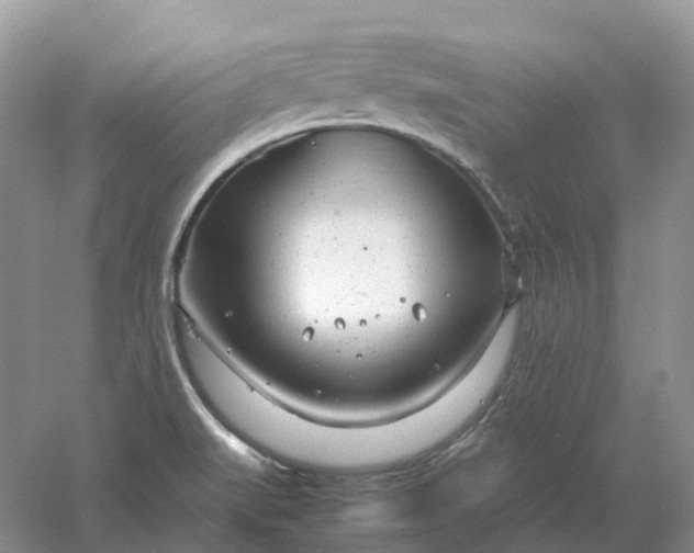 X0000061121519200512022138