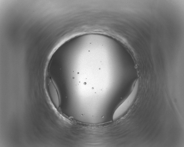 X0000061121520200512022138