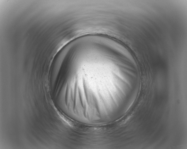 X0000061121521200512022138