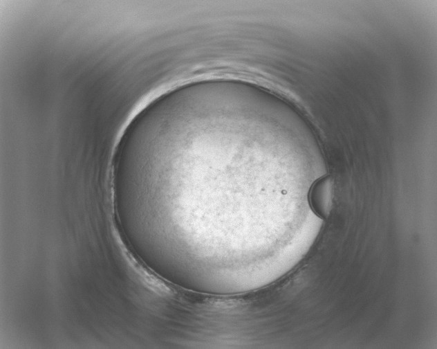 X0000061121522200512022138