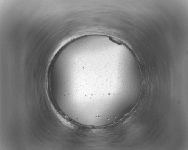 X0000061121523200512022138