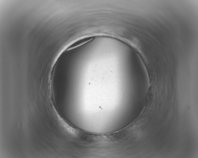 X0000061121524200512022139