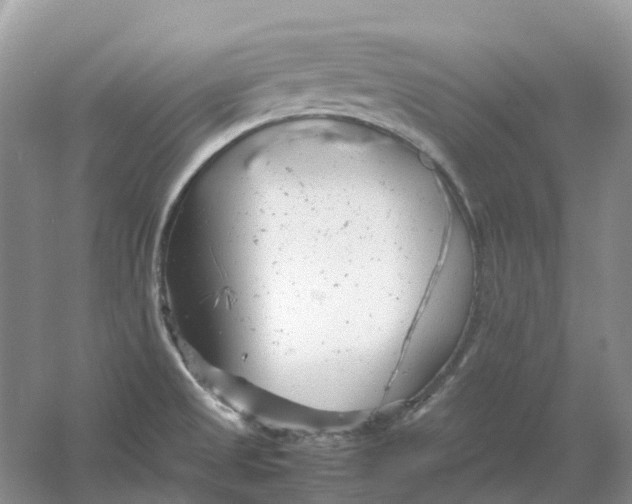 X0000061121525200512022139