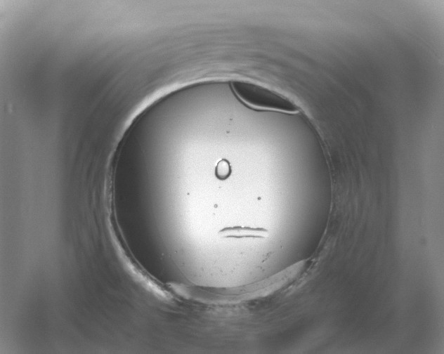 X0000061121526200512022139