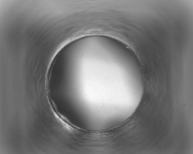 X0000061121527200512022139