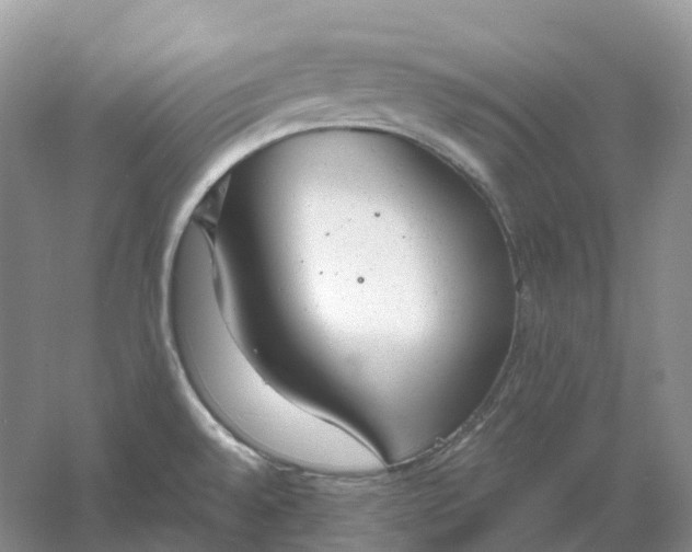 X0000061121528200512022139