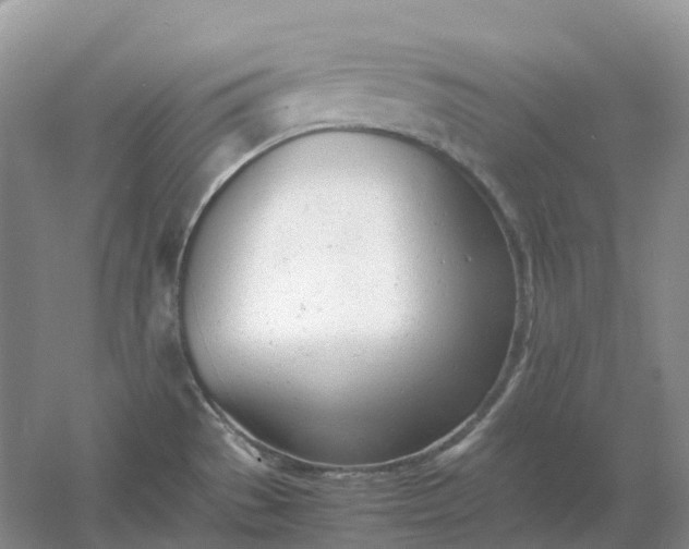 X0000061121529200512022139