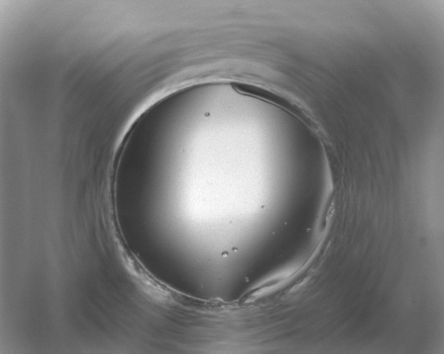 X0000061121530200512022139