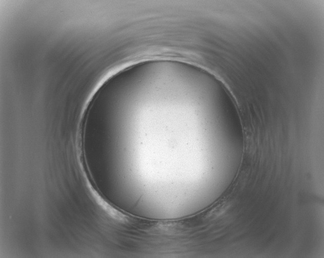 X0000061121531200512022139