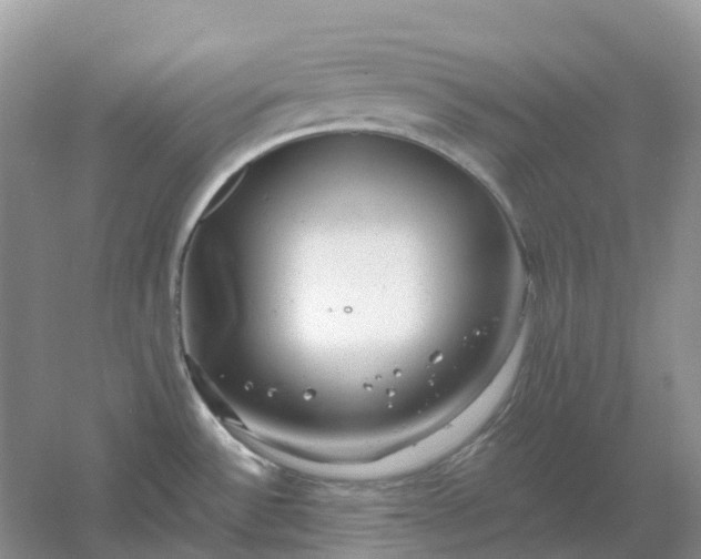 X0000061121532200512022139