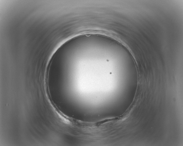 X0000061121533200512022139