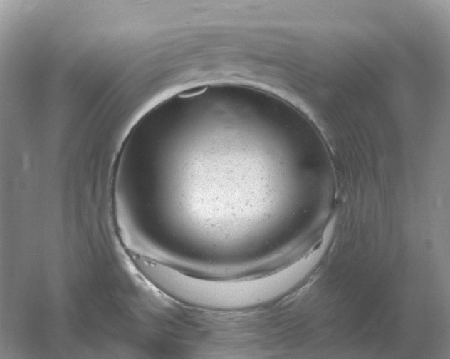 X0000061121534200512022139