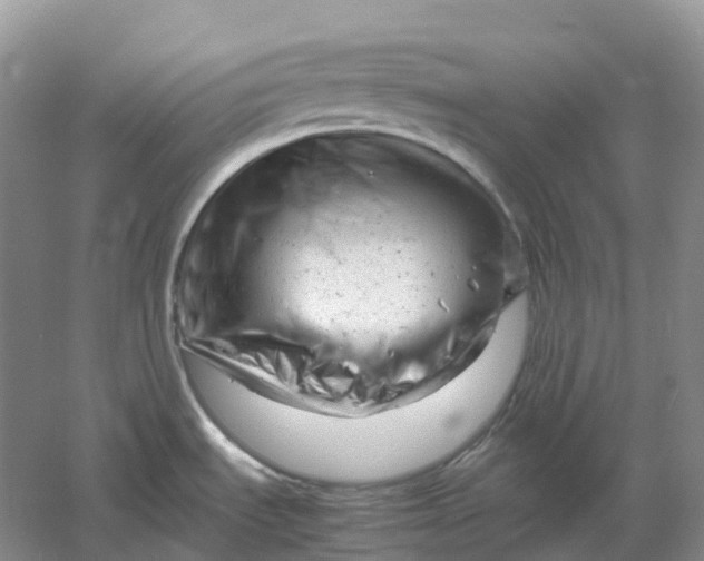 X0000061121535200512022139