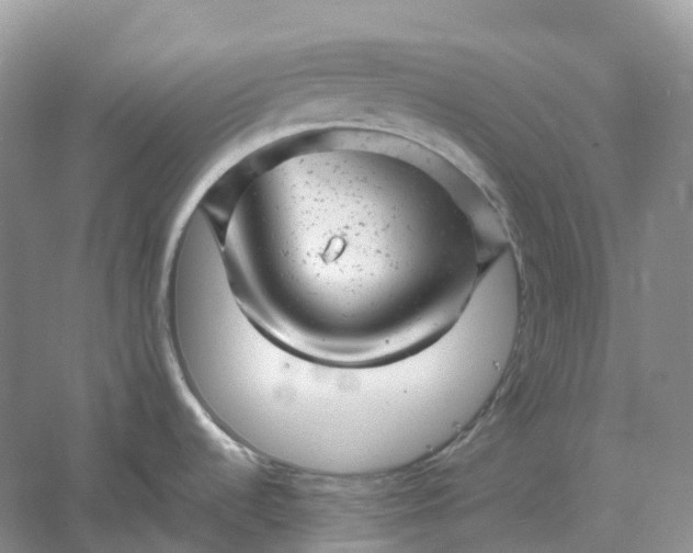 X0000061121536200512022139