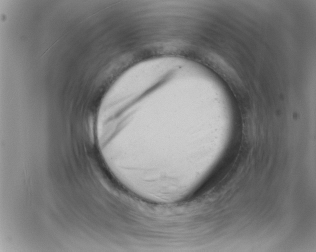 X0000061120022200512091854