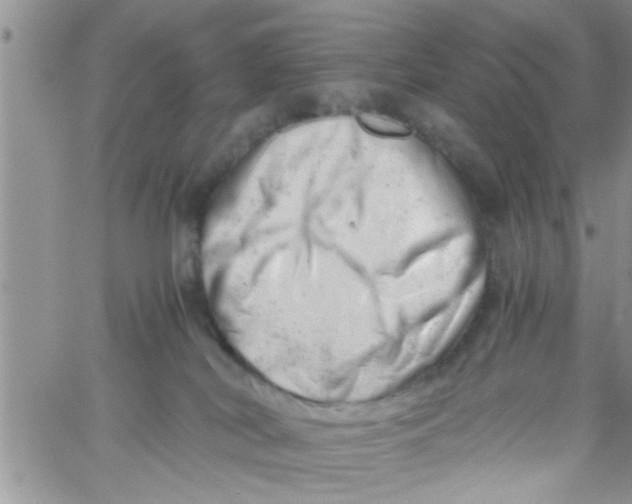 X0000061120038200512091854