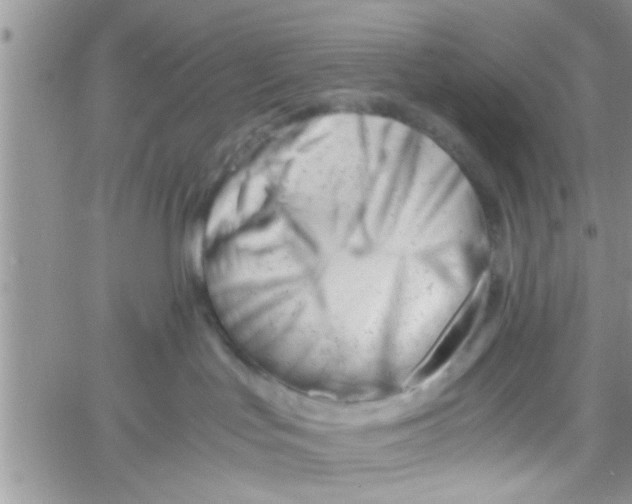 X0000061120047200512091854