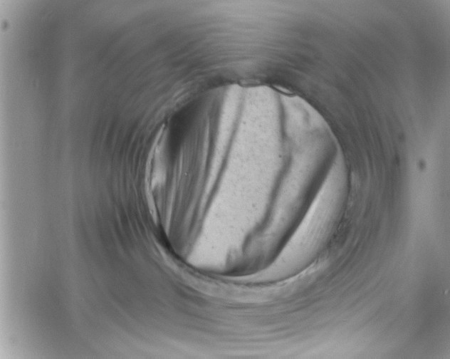 X0000061120048200512091854