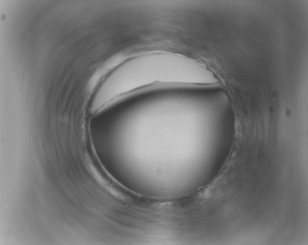 X0000061120054200512091853
