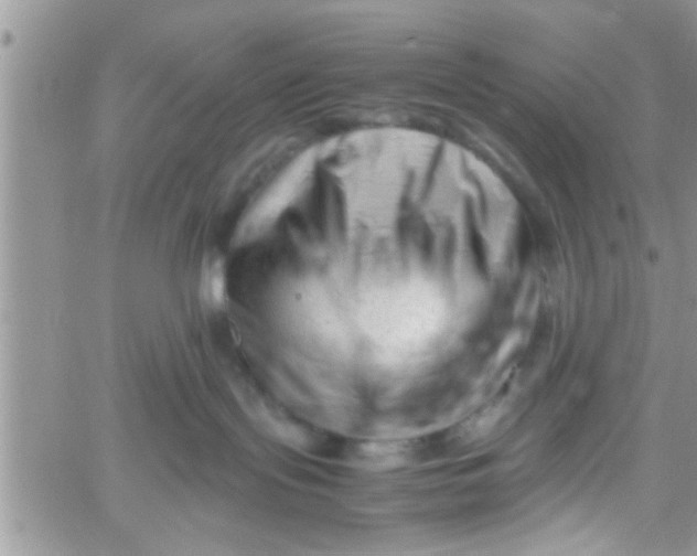 X0000061120095200512091854