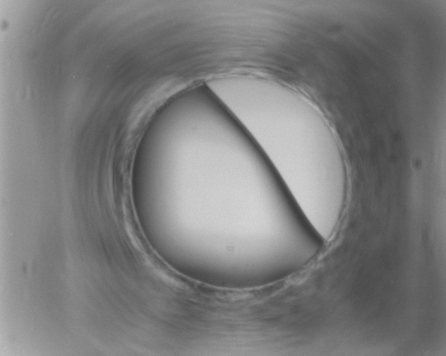 X0000061120097200512091853