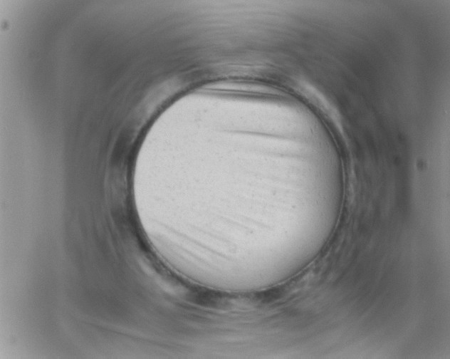 X0000061120107200512091853