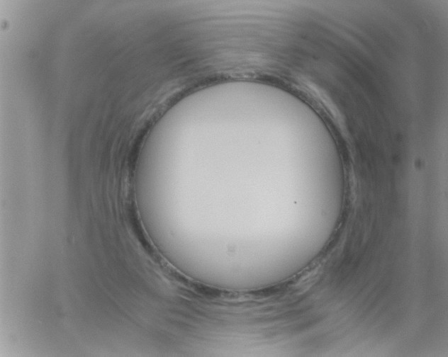 X0000061120113200512091853