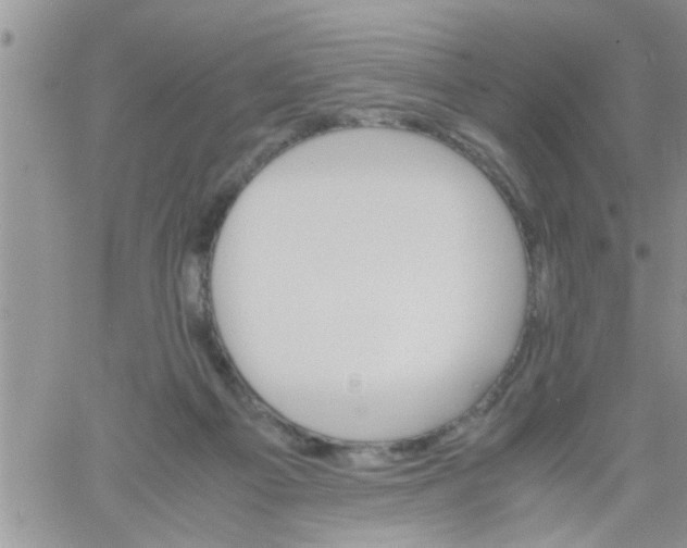 X0000061120121200512091853