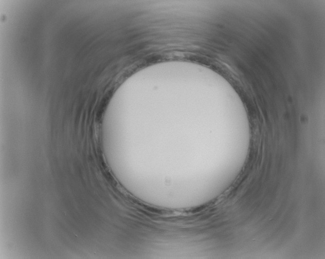 X0000061120125200512091853