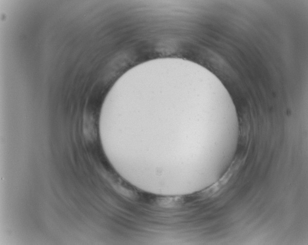 X0000061120136200512091853