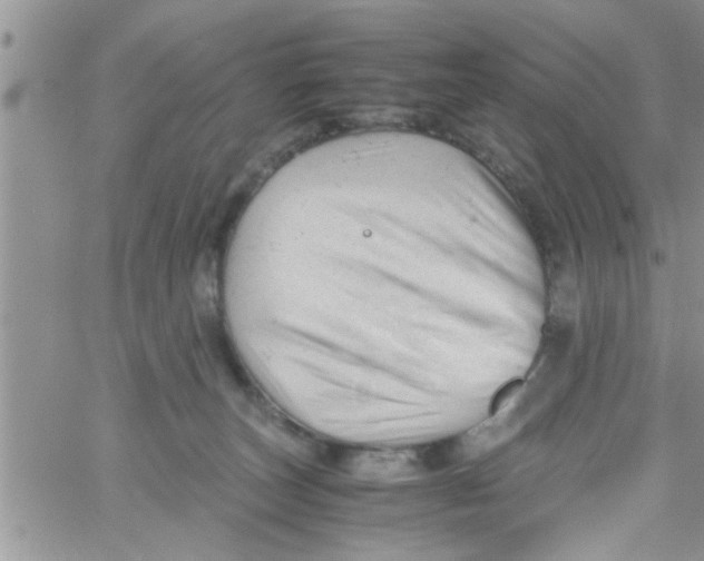 X0000061120179200512091852