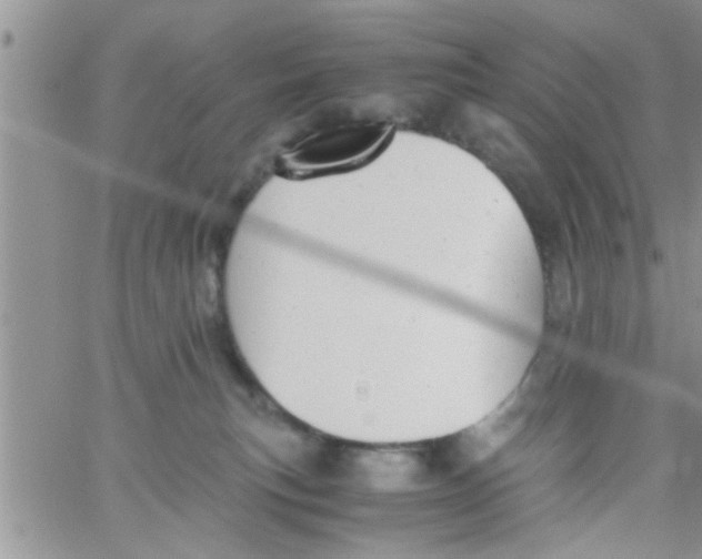X0000061120183200512091852