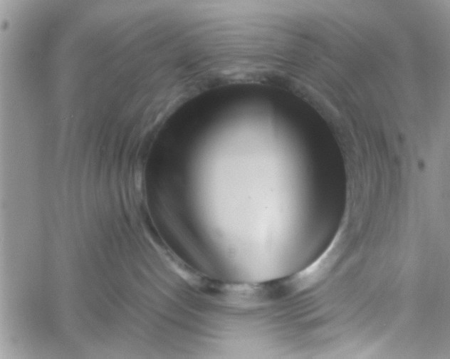 X0000061120192200512091852
