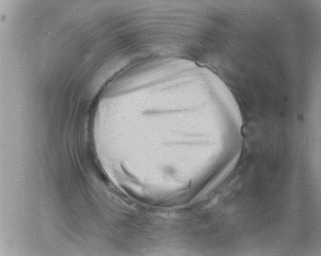 X0000061120194200512091852