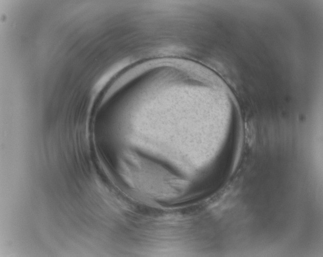 X0000061120196200512091852