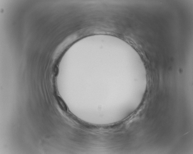 X0000061120197200512091852