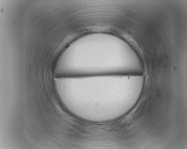 X0000061120201200512091851