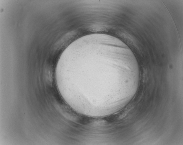 X0000061120210200512091851