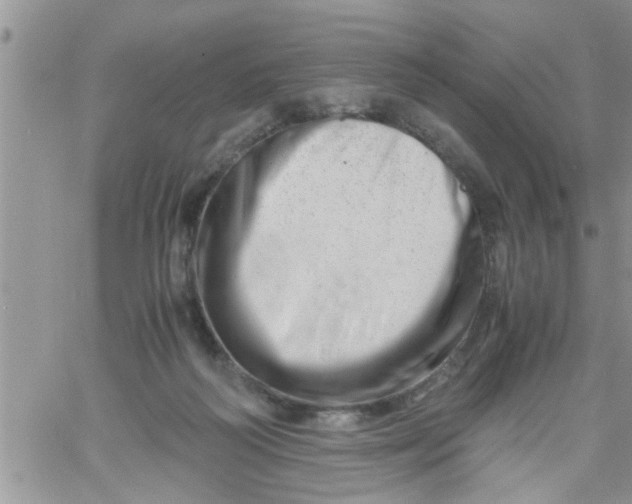 X0000061120218200512091851