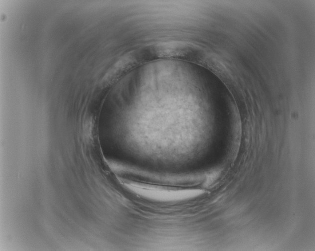 X0000061120219200512091851