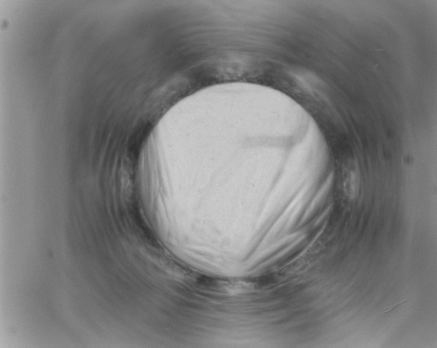 X0000061120226200512091851