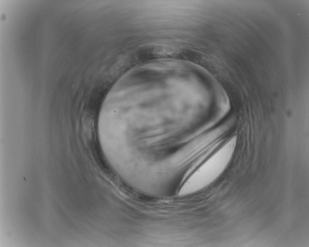 X0000061120227200512091851