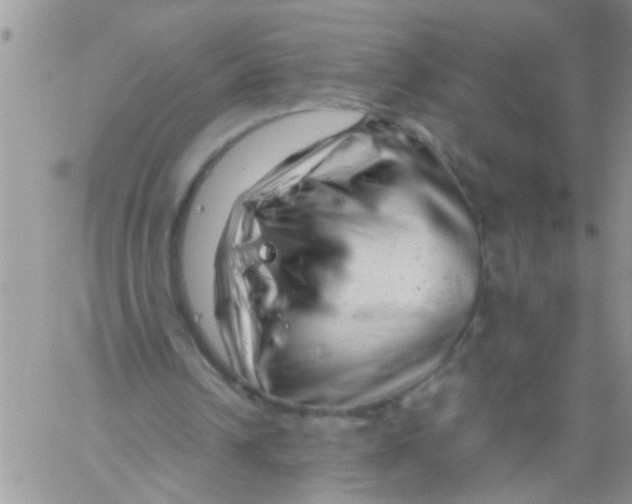 X0000061120242200512091850