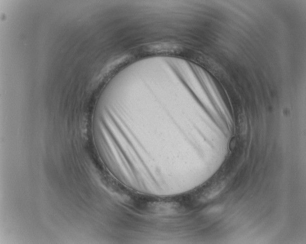 X0000061120255200512091850