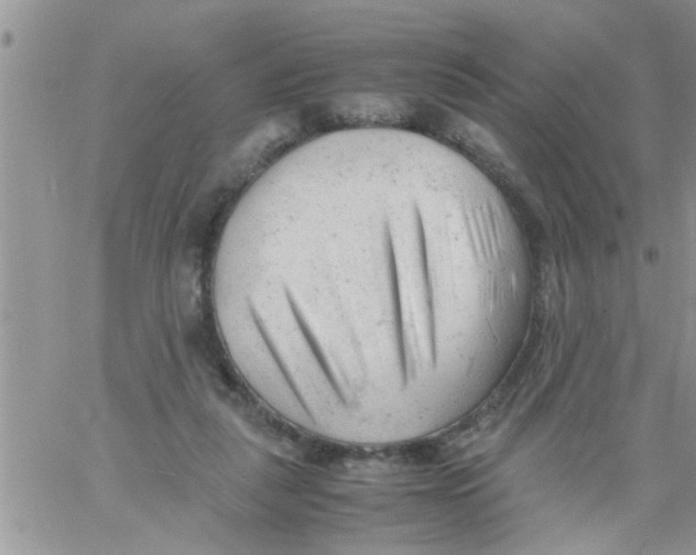 X0000061120259200512091850