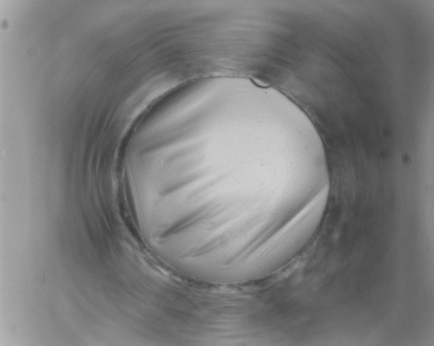 X0000061120290200512091850