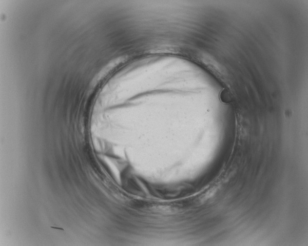 X0000061120298200512091850